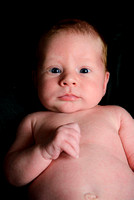0010-120917_Noah-baby portraits