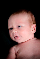 0014-120917_Noah-baby portraits